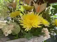 彌彦神社 (伊夜日子神社)の手水舎