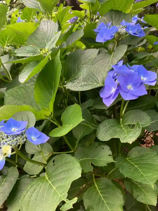 佛日庵(神奈川県)