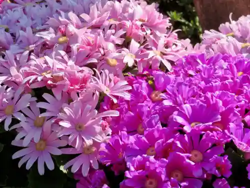 足利織姫神社の自然