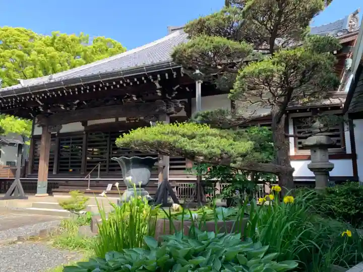 光明寺(神奈川県)