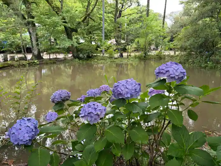 子安神社(千葉県)