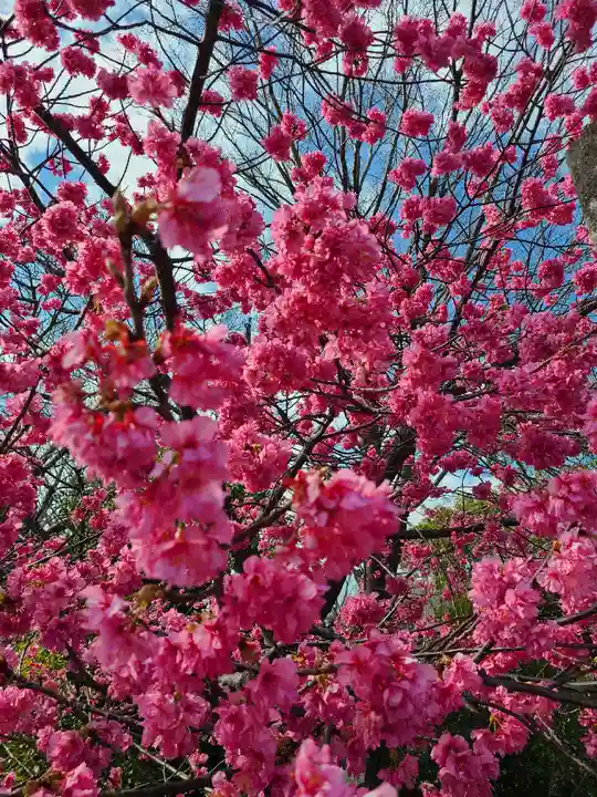 楊原神社の自然