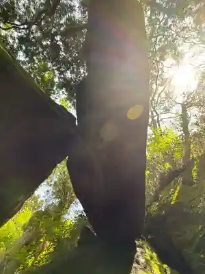 筑波山神社 女体山御本殿(茨城県)