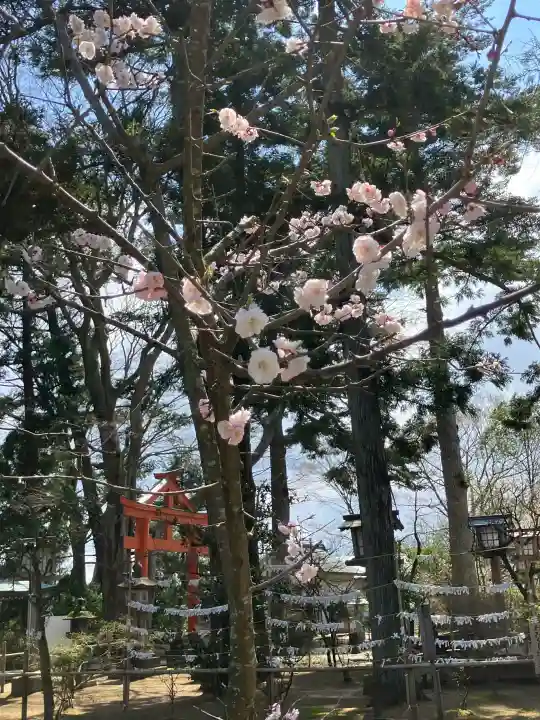 総社神社の{uncategorized: "未分類", other: "その他", undefined: "問題あり", building: "その他建物", grave: "お墓", sacred_gate: "鳥居", guardian: "狛犬", statue: "像", buddha: "仏像", history: "歴史", nature: "自然", garden: "庭園", animal: "動物", pagoda: "塔", temizu: "手水舎", mountain_gate: "山門・神門", sanctuary: "本殿・本堂", subordinate: "末社・摂社", art: "芸術", scenery: "景色", jizo: "地蔵", ema: "絵馬", goshuin: "御朱印", omikuji: "おみくじ", items: "授与品その他", amulet: "お守り", goshuincho: "御朱印帳", eats: "食事", festival: "お祭り", votive_dance: "神楽", shichigosan: "七五三参", wedding: "結婚式", experience: "体験その他", initially: "初詣", around: "周辺", anti_infection: "感染症対策"}