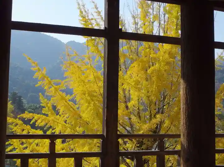 豊国神社 の自然