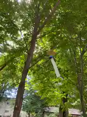 十勝護国神社の自然