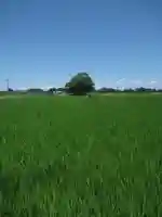 神明神社(千葉県)