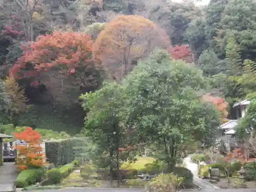 長壽寺（長寿寺）の自然