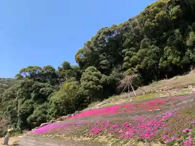 普門寺(切り絵御朱印発祥の寺)(愛知県)