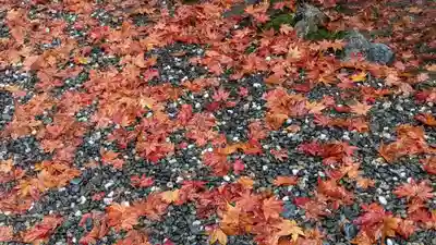 大原野神社(京都府)