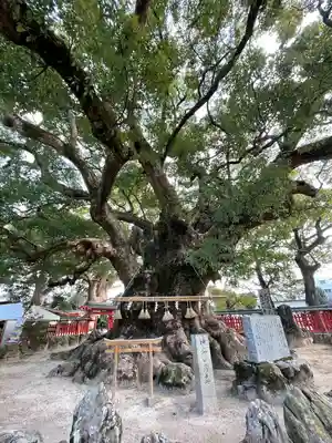 宇美八幡宮のその他建物