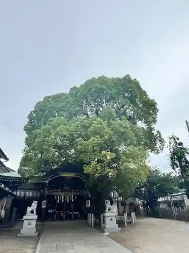 石津神社(大阪府)