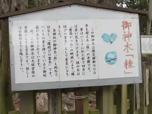 小室浅間神社の歴史