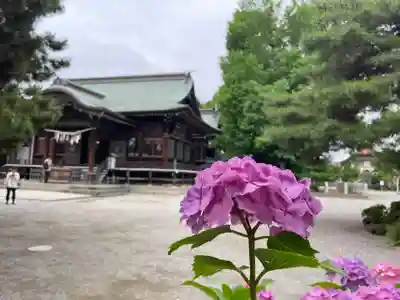 葛飾八幡宮(千葉県)
