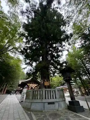 諏訪大社下社秋宮(長野県)