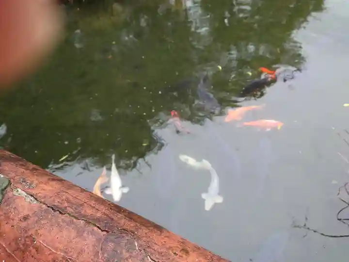 圓鏡寺(岐阜県)