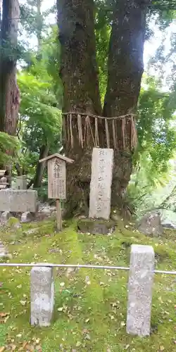 正法寺の自然