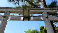 天津神社の鳥居