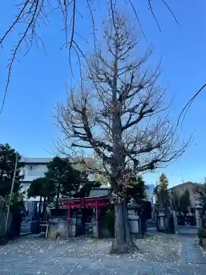 浄蓮寺(神奈川県)