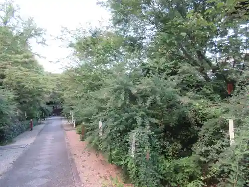 梨木神社の自然