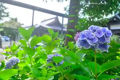 本郷氷川神社(東京都)