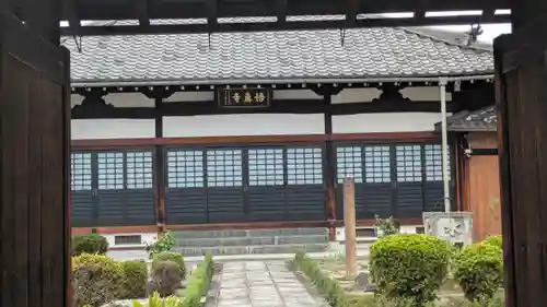 悟真寺(京都府)