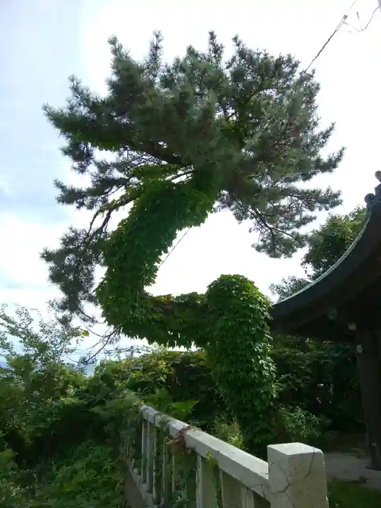 函館護國神社(北海道)