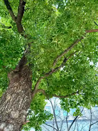 御霊神社(大阪府)