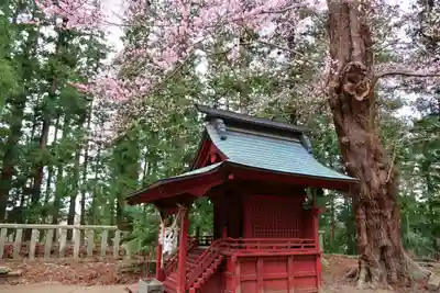 田村神社の自然
