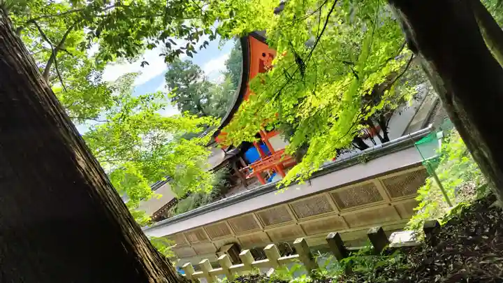 出雲大神宮のその他建物