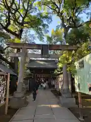 赤坂氷川神社の鳥居