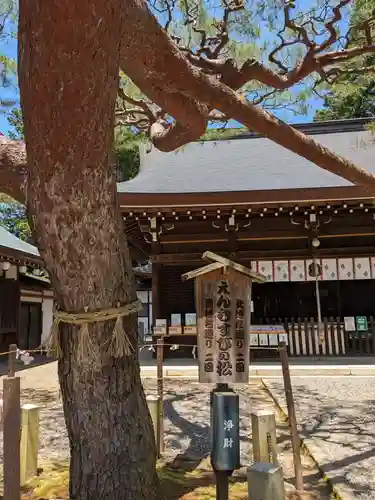 尾張冨士大宮浅間神社(愛知県)