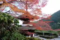 善峯寺(京都府)