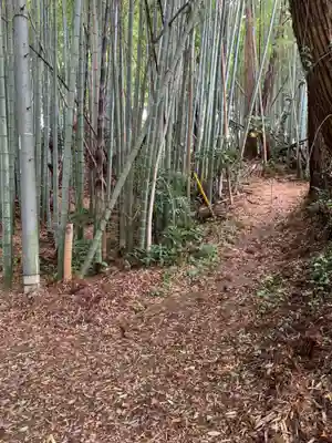 借宿山蔵王大神(千葉県)
