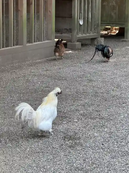石上神宮(奈良県)