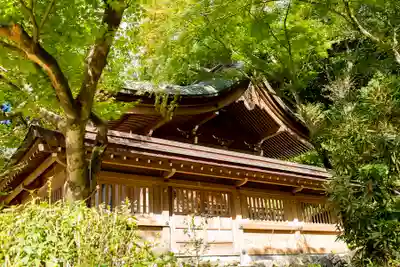 宝満宮竈門神社の本殿・本堂