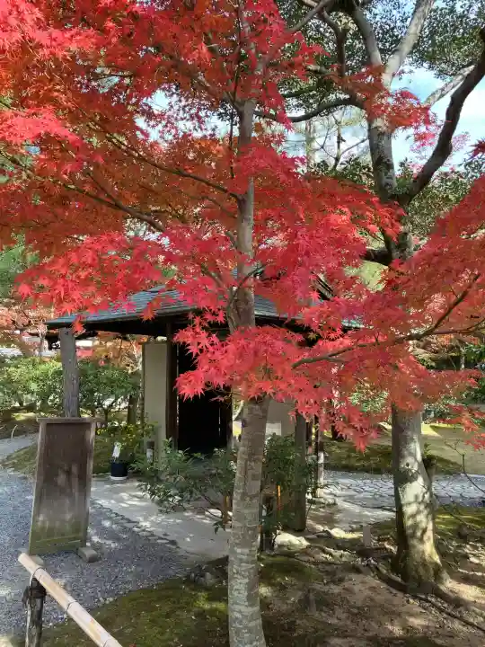 高台寺(高台寿聖禅寺・高臺寺)(京都府)