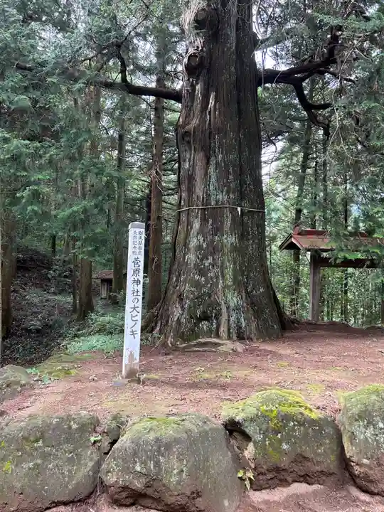 菅原神社(群馬県)