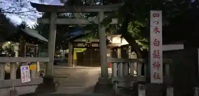 白髭神社(東京都)