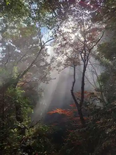 高尾山薬王院の景色