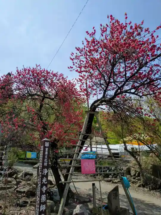 浄光寺(長野県)