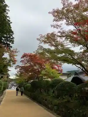 壇上伽藍(和歌山県)