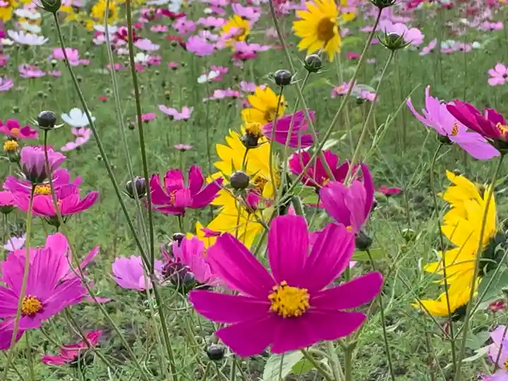 成身院 百体観音堂(さざえ堂)(埼玉県)
