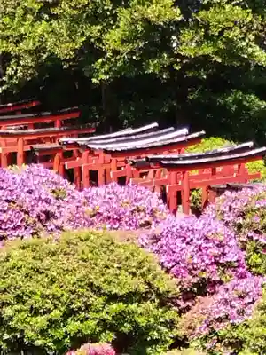 根津神社(東京都)
