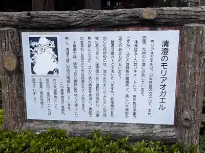 清澄寺(千葉県)