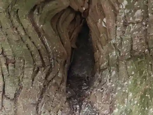 日吉大社(滋賀県)