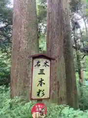 笠森寺の自然