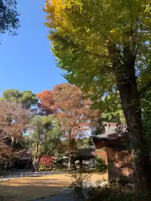 阿佐ヶ谷神明宮のその他建物