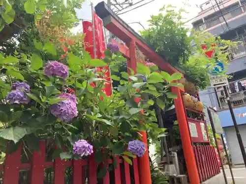 装束稲荷神社（王子稲荷神社境外摂社）の鳥居