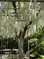 白旗神社(神奈川県)